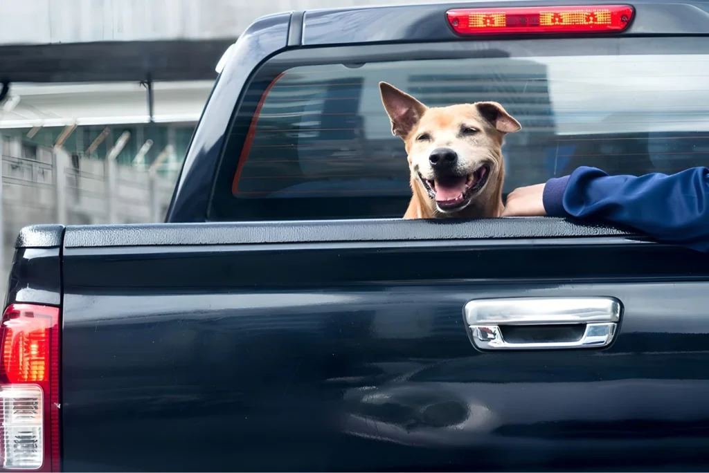 ram 1500 dog seat cover