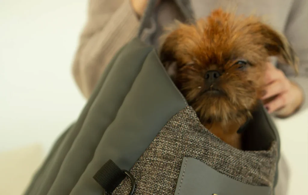 luxury dog carry bags