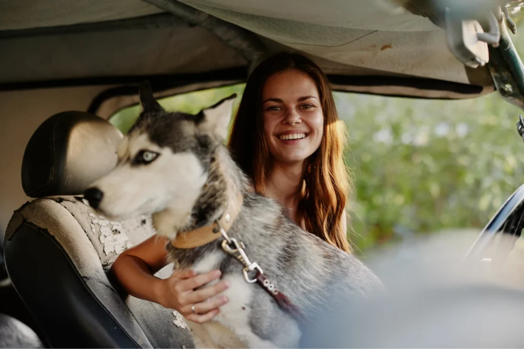 bmw x3 dog seat cover