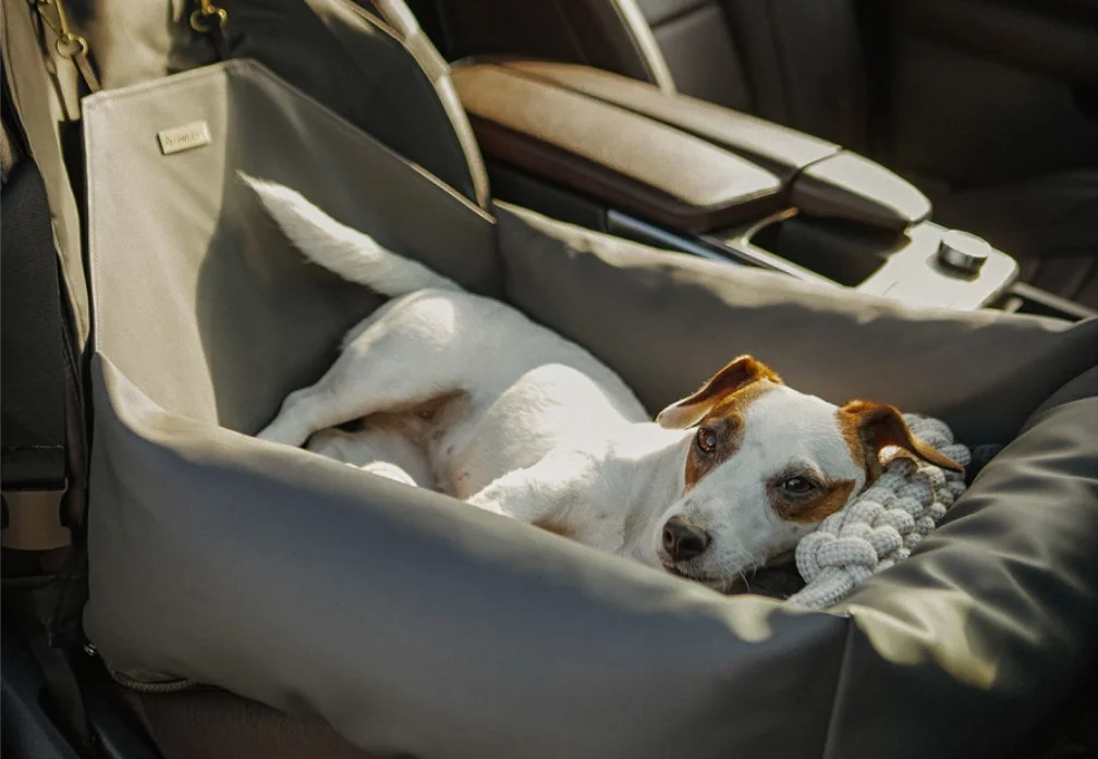 pet carpool seat