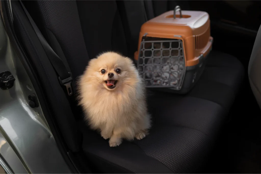 The Best Dog Seat Covers