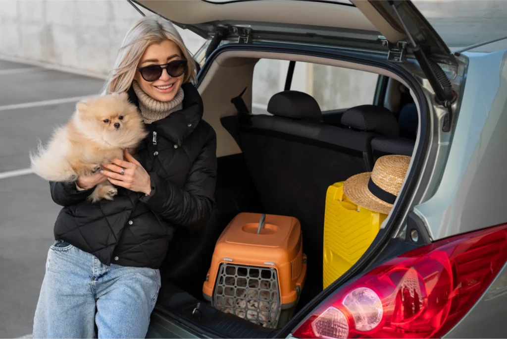 small dog car seat carrier