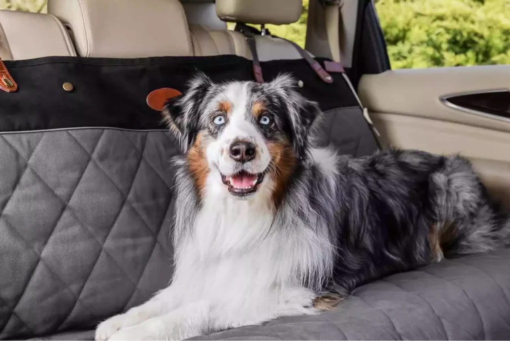 4Runner Dog Seat Cover