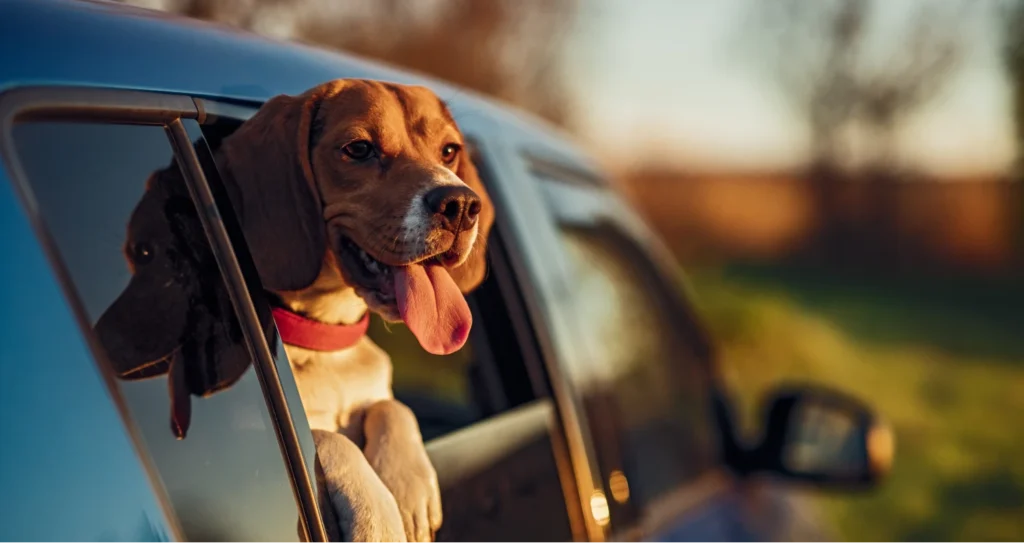 jeep grand cherokee dog seat cover