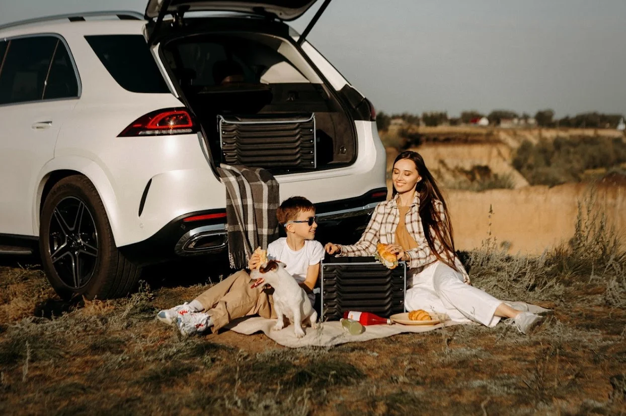 modern picnic blanket