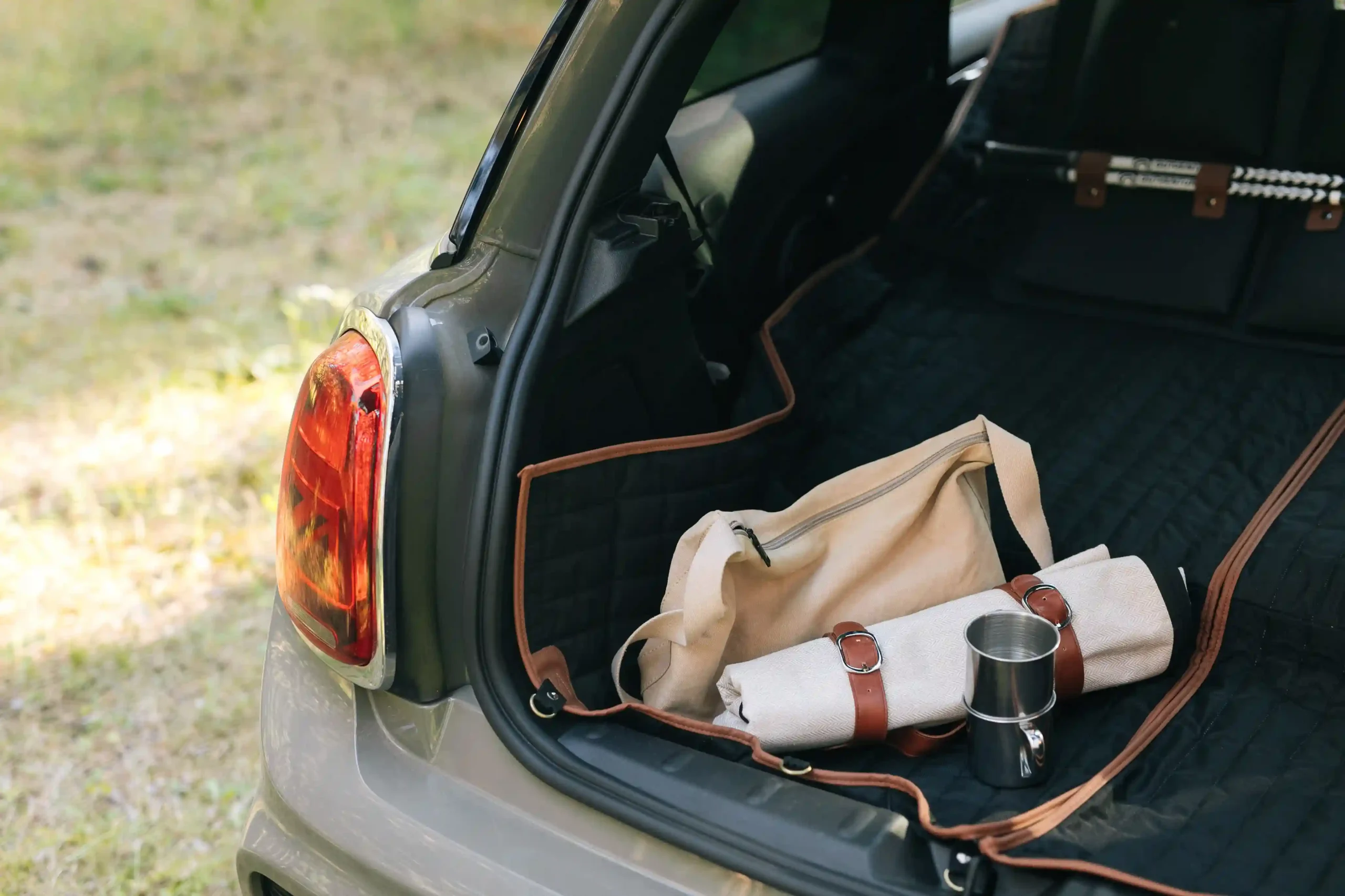 trendy picnic blanket