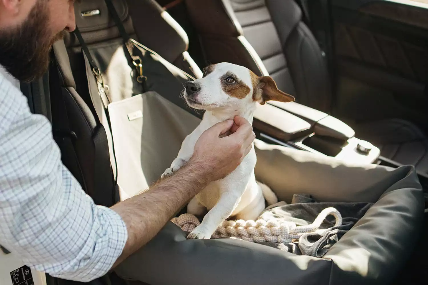 Finnish Spitz Dog Car Seat for Subaru Crosstrek