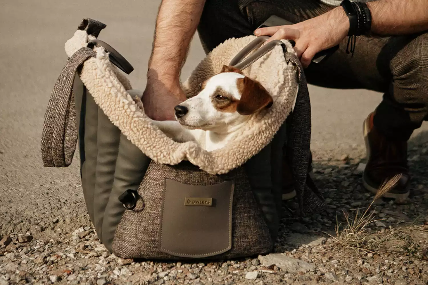 Hyundai Palisade Dog Carrier Car Seat for Miniature Schnauzer