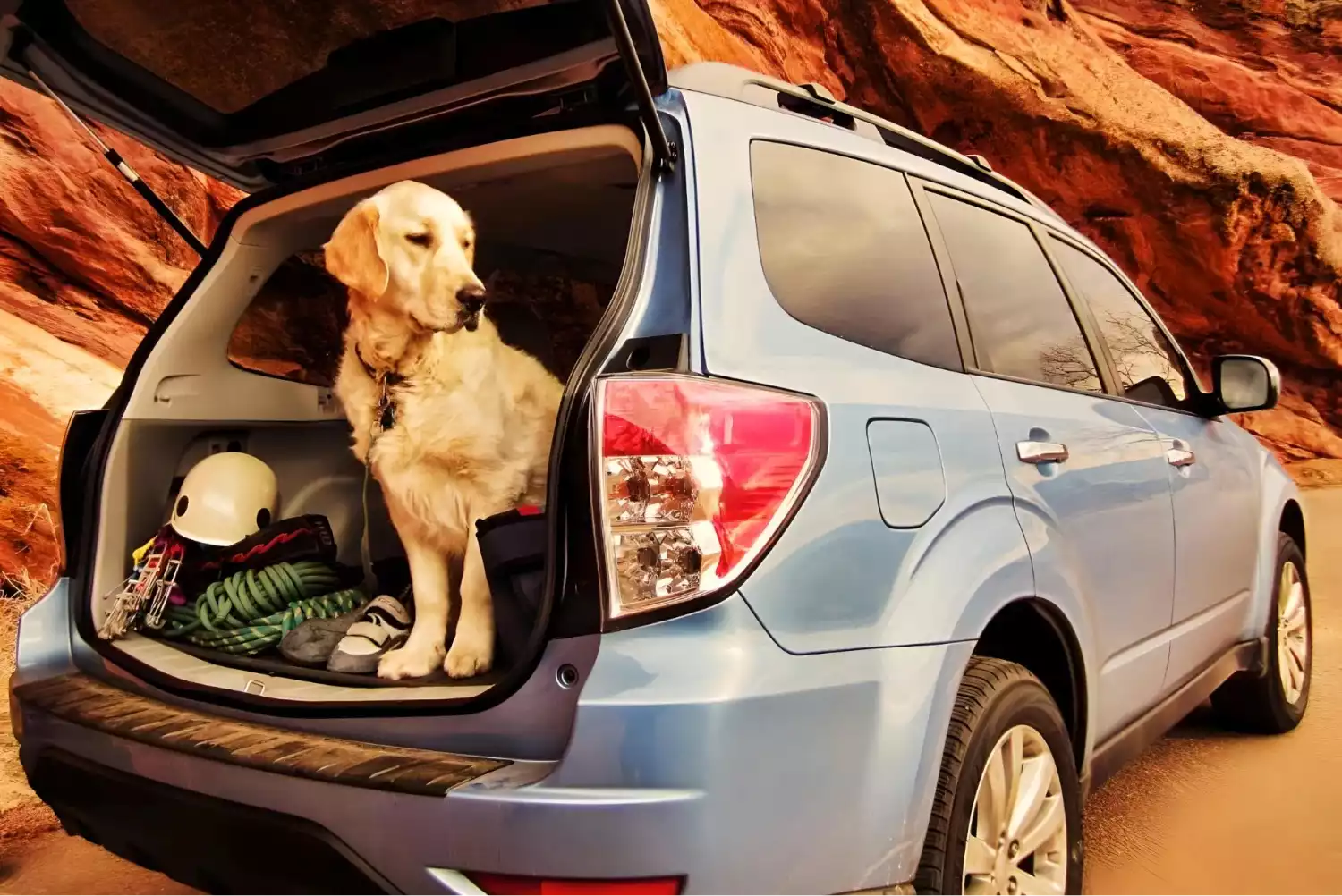 car garbage can for Subaru Forester