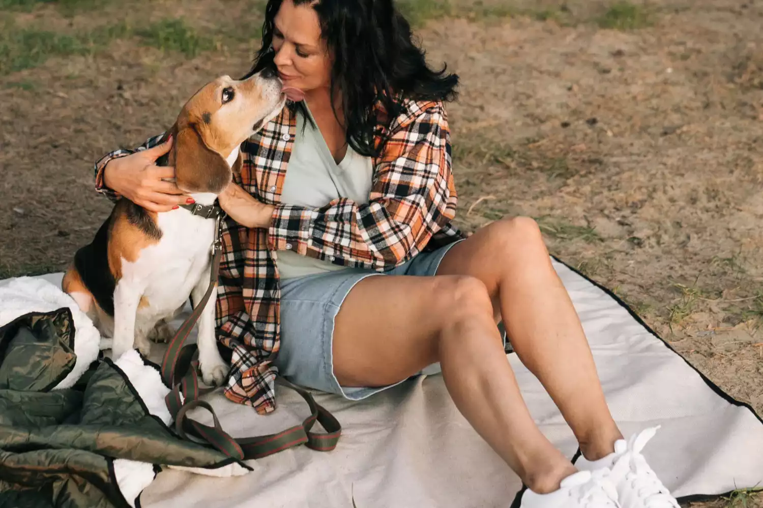 canvas picnic blanket