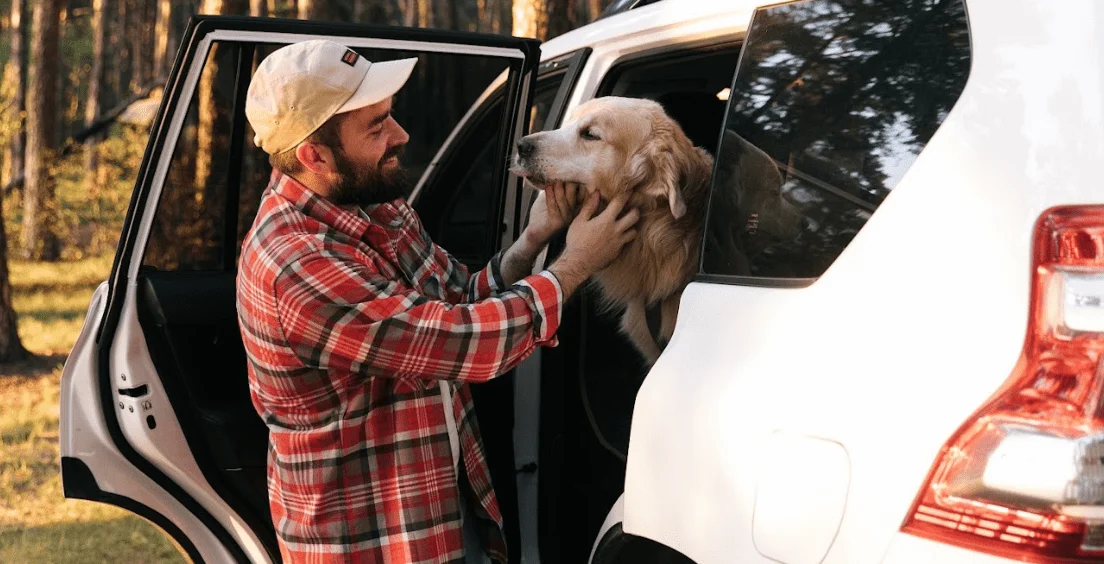 Nissan Frontier Dog Safety Belt for Yorkshire Terriers