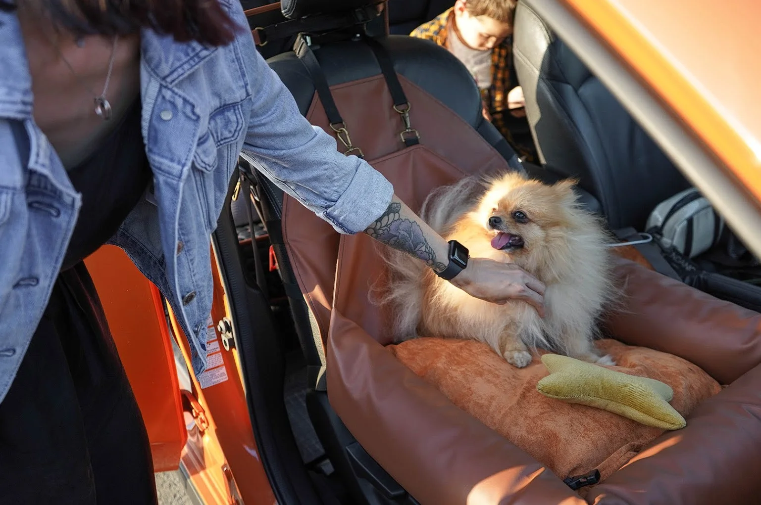 Chevrolet Traverse Dog Car Seat for Shar-Pei