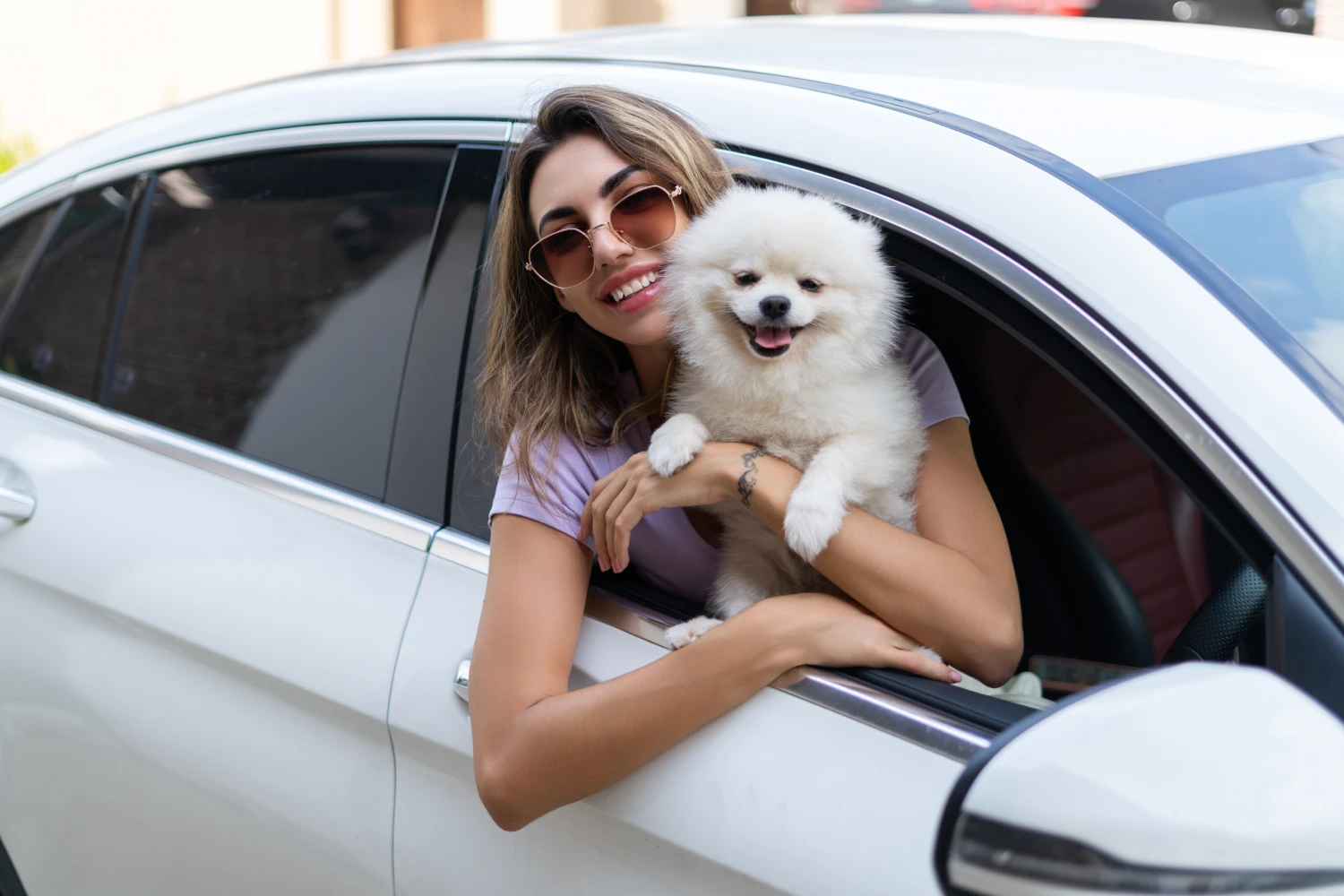 Buick Encore Dog Carrier Car Seat for Pomeranian