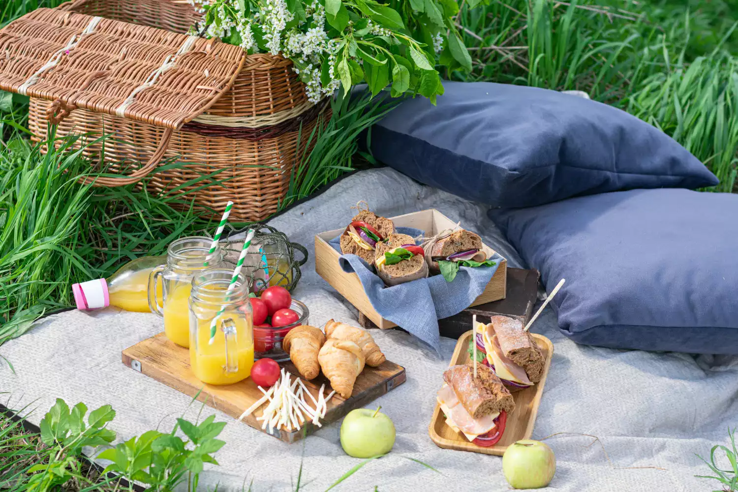 picnic blanket with strap