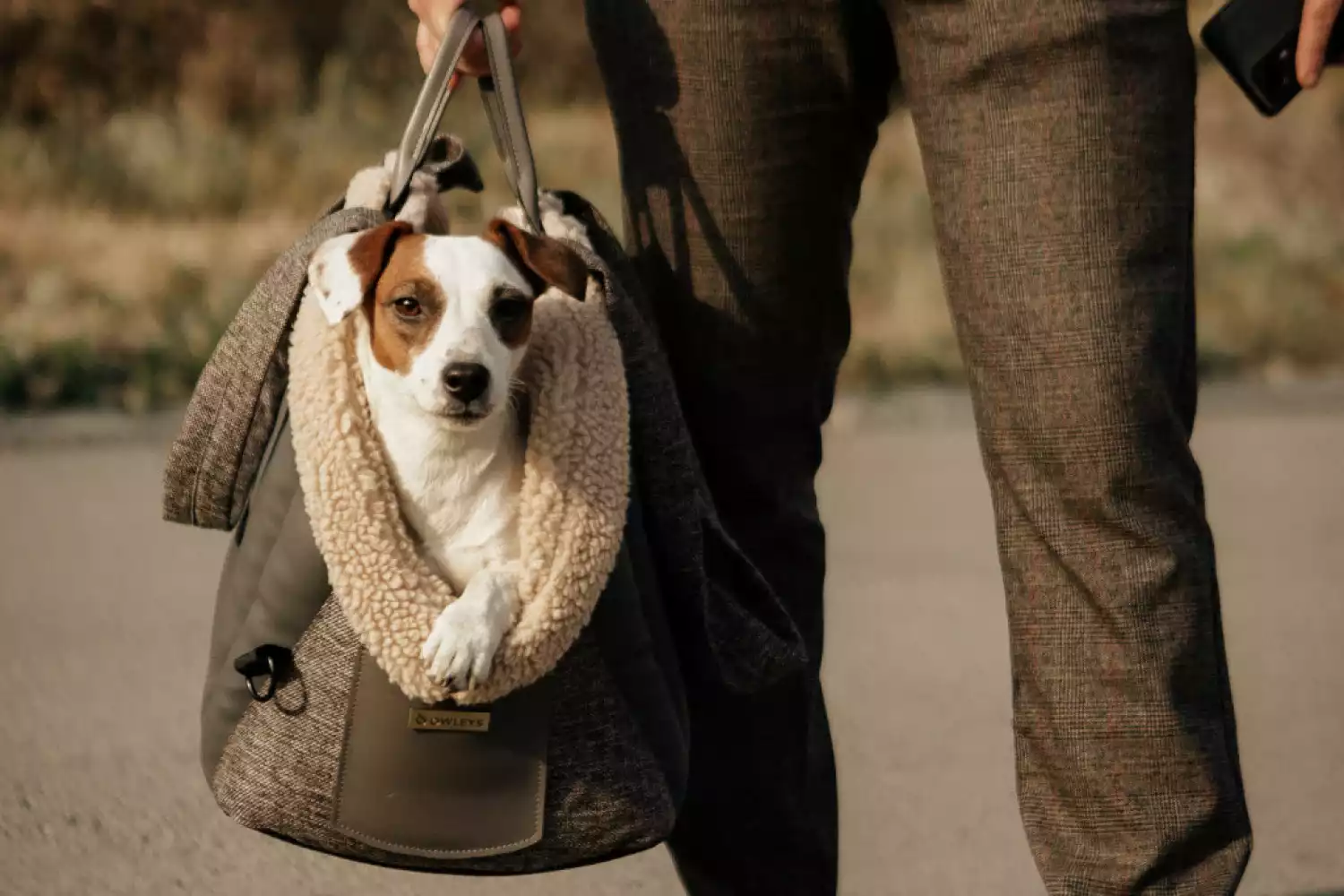 Dog Carrier Purse for Toy Sheltie