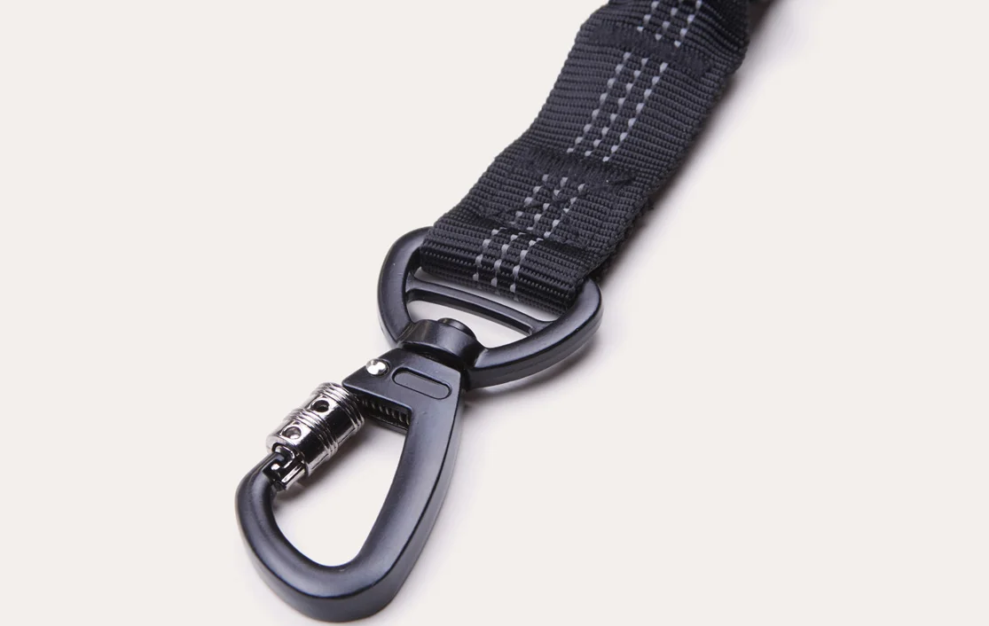 Hyundai Santa Fe Dog Safety Belt for Chinese Cresteds