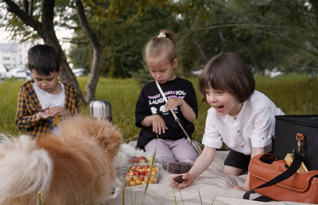 picnic blanket with strap