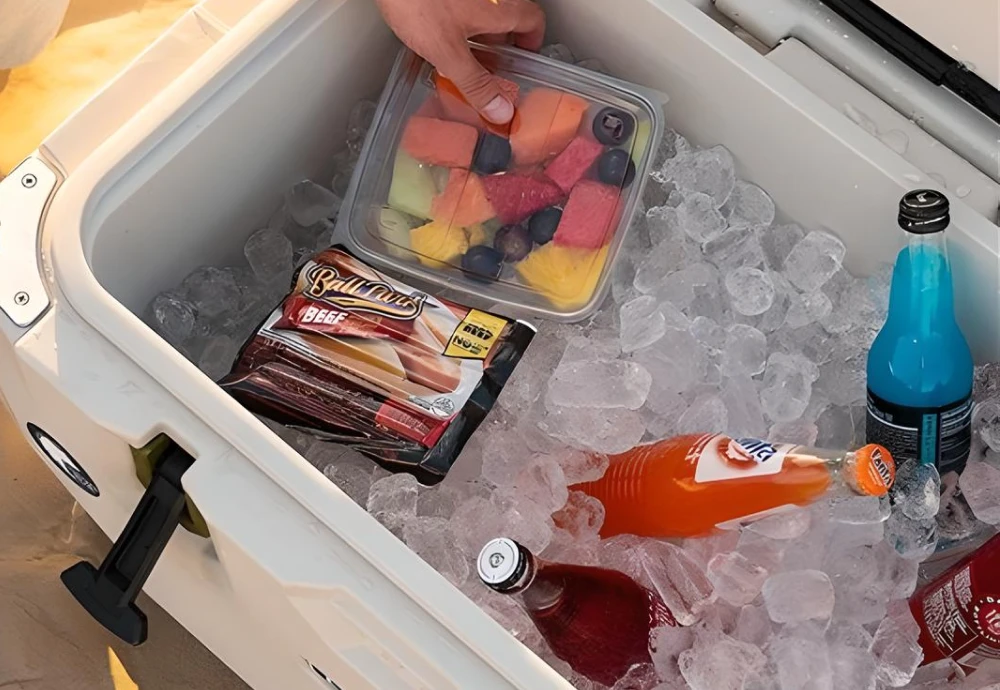 portable cool box fridge