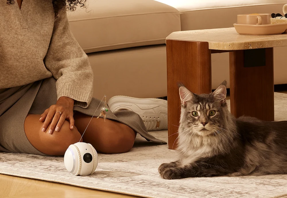 best home security camera for pets