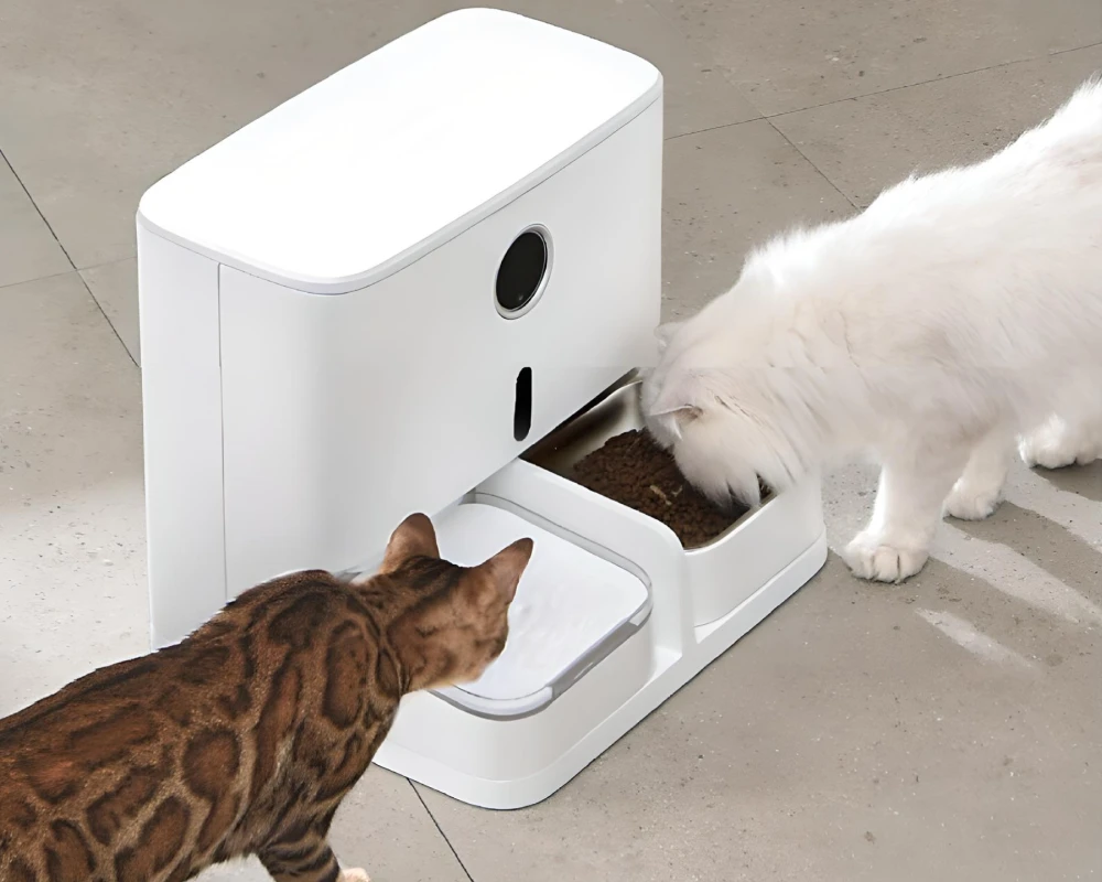 best automatic cat feeder with camera