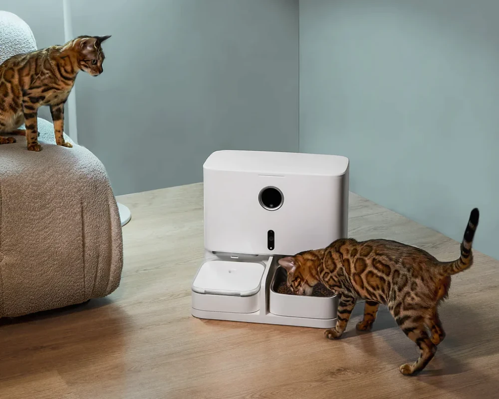 automatic electronic pet feeder