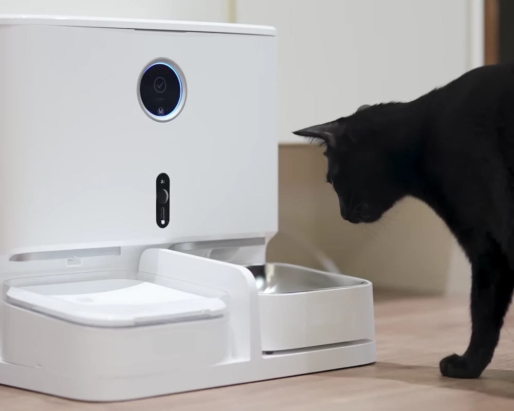 the best automatic pet feeder